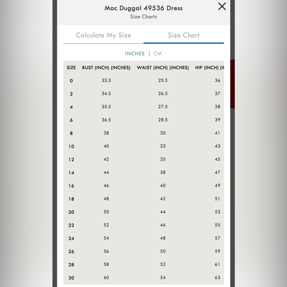 Mac Duggal Evening/Formal Dress - Picture 6 of 7